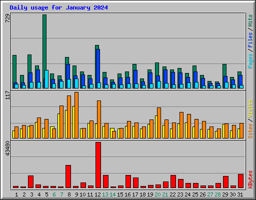 Daily usage for January 2024