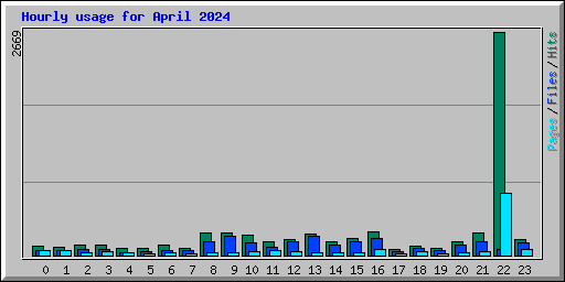 Hourly usage for April 2024