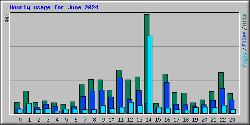 Hourly usage for June 2024