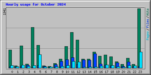 Hourly usage for October 2024